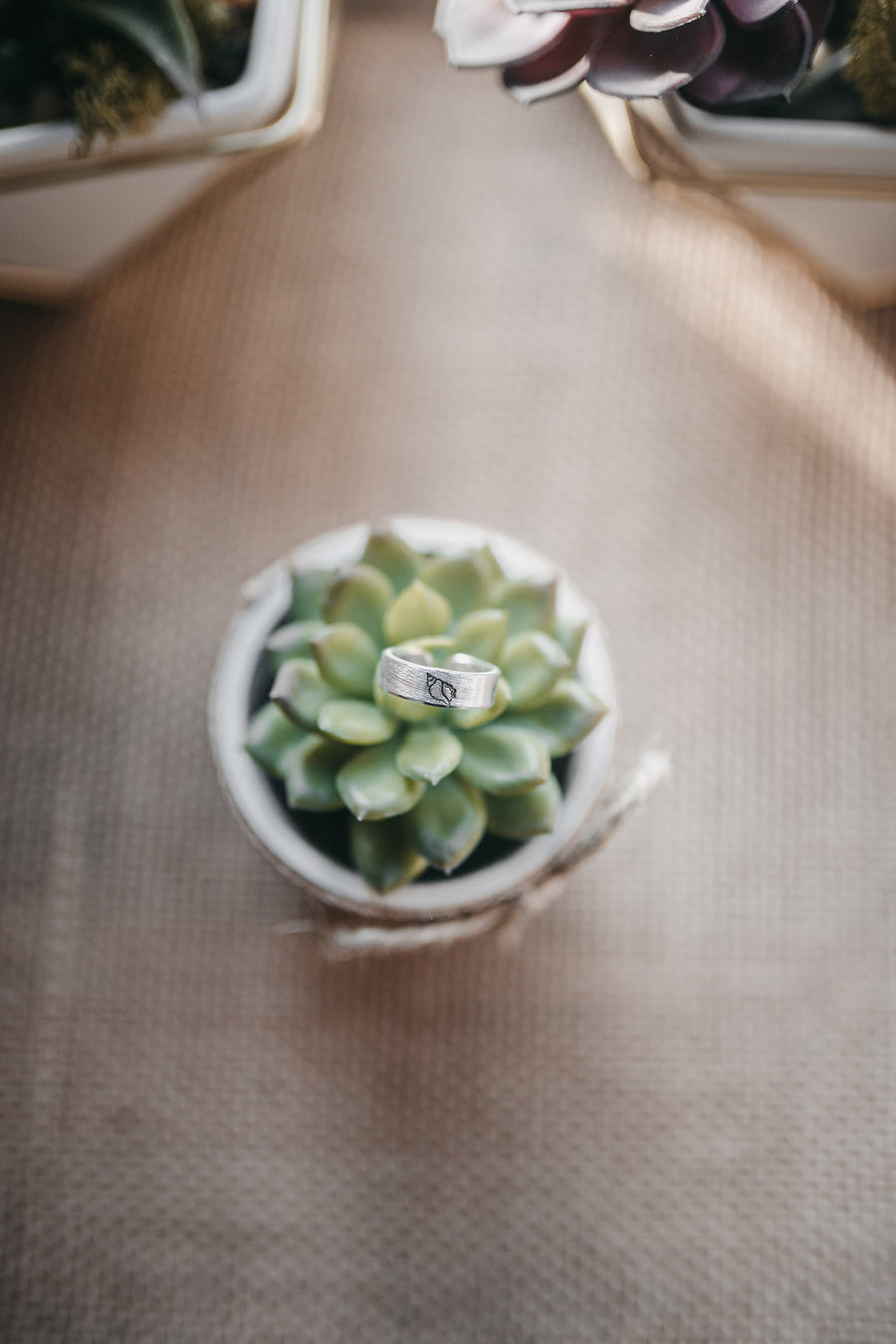 Nautical Rings